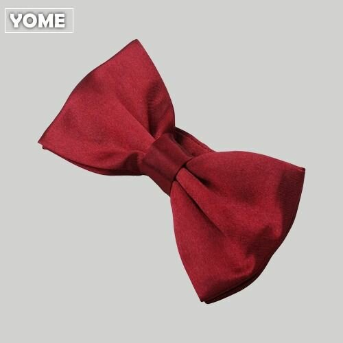 Noeud Papillon Rouge Élégant