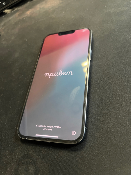 iPhone 13 Pro Max