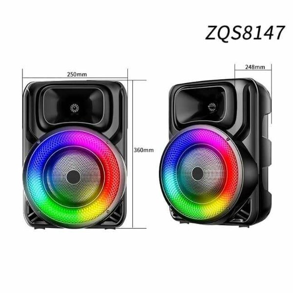 Haut-parleur bluetooth rechargeable avec microphone sans fil
