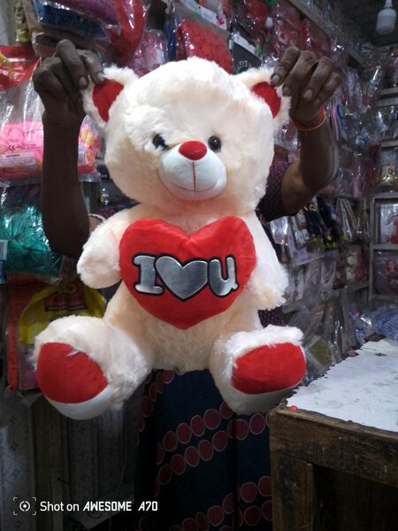 Teddy Bear