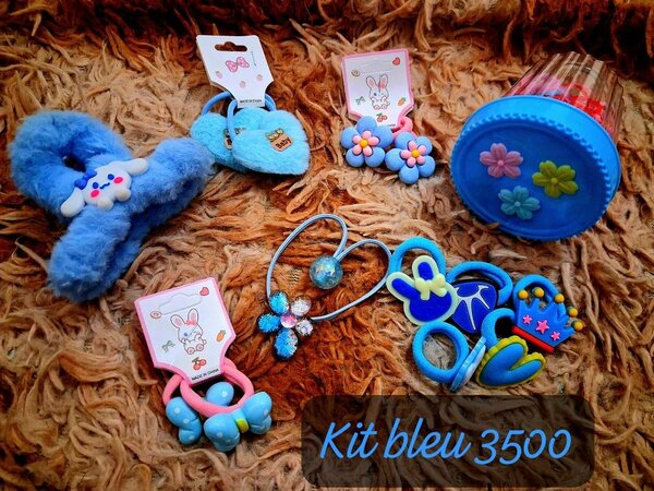 Set d'Accessoires Cheveux Bleus