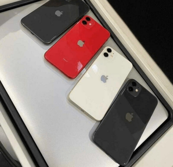 iPhone 11 - Couleurs Variées