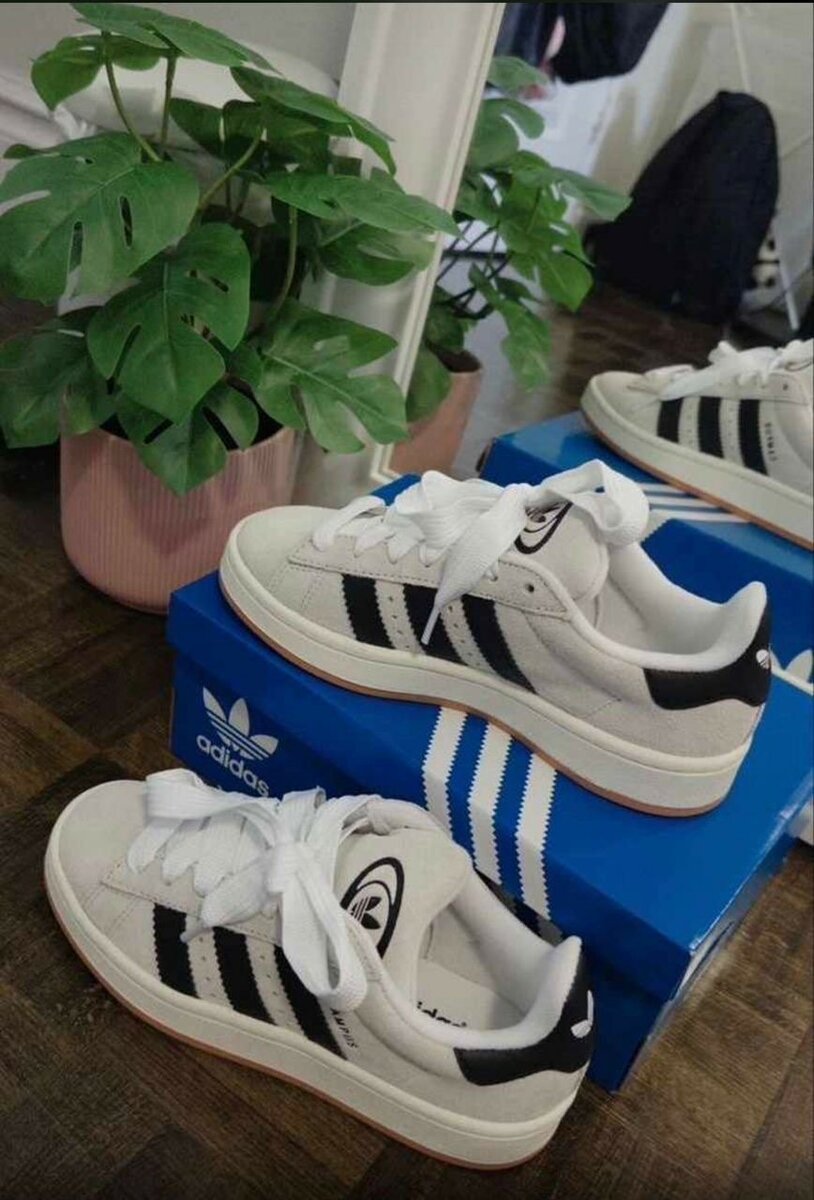 Adidas campus