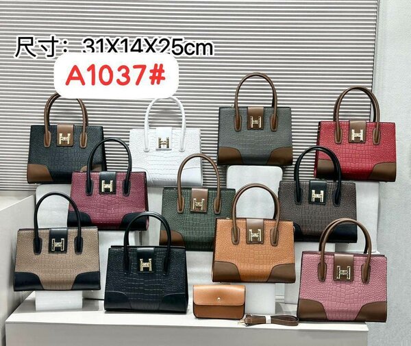 Ladies herms bag