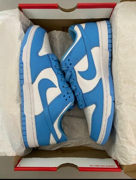 Nike sb