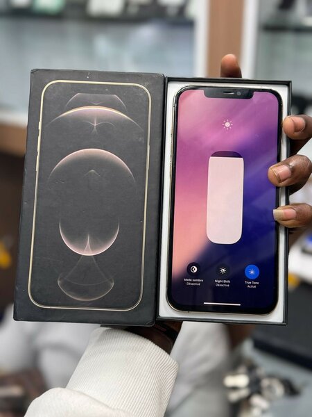 iPhone 12 Pro Max