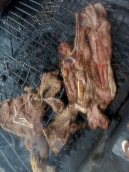 Tbone