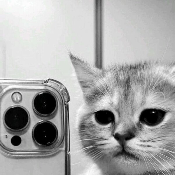 MyPetStore