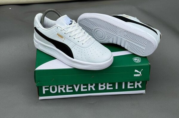 Basket puma