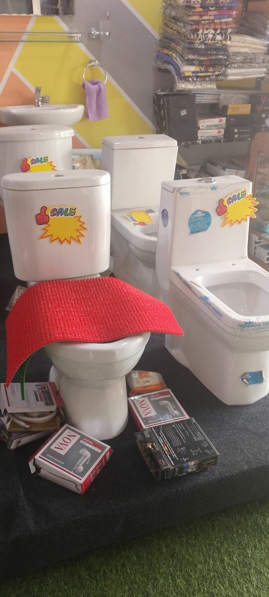 Modern Water Closet