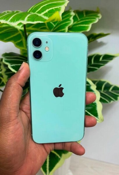 iPhone 11