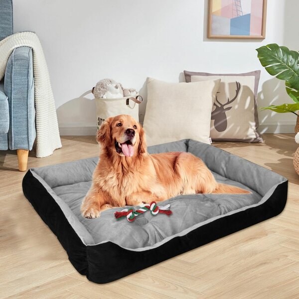 Lit pour gros chien