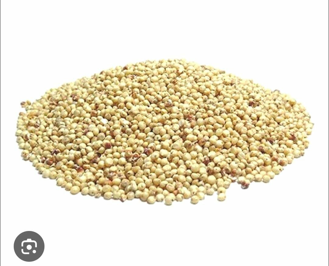 Sorgho 500g