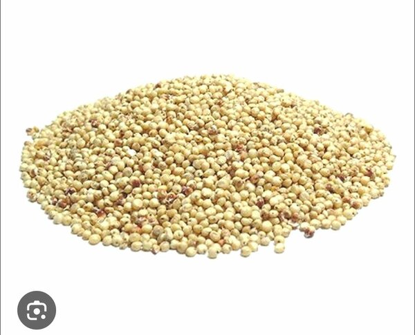Sorgho 500g