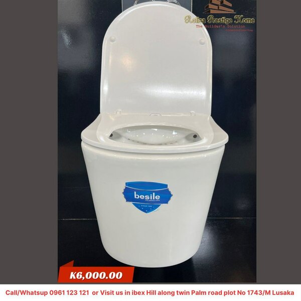 Wall hang toilet