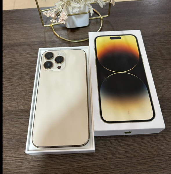 iPhone 14 Pro Max