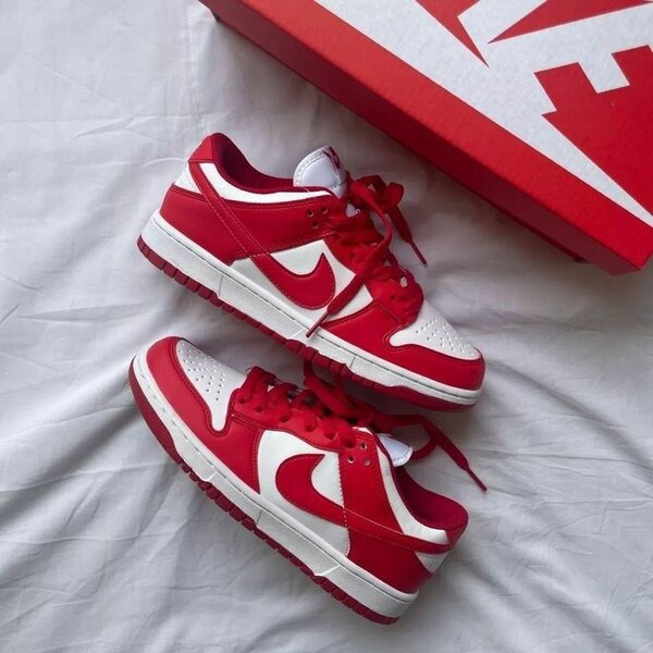 NIKE SB