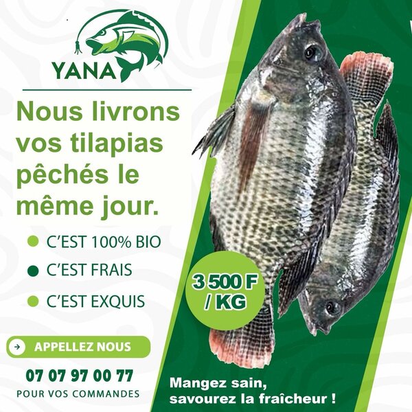 YANA