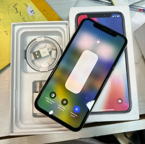 iPhone X