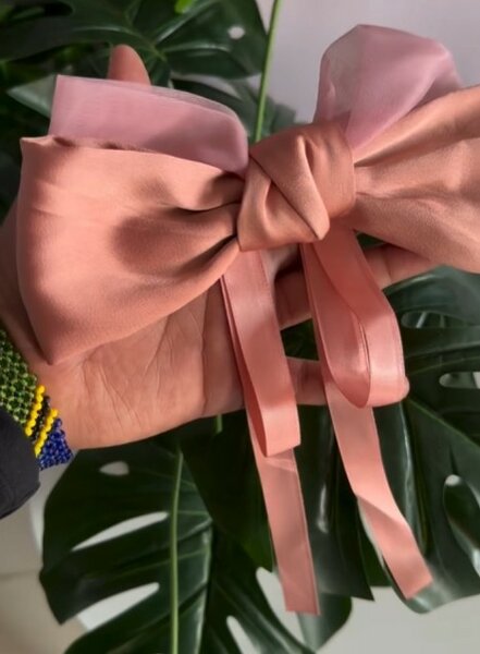 Hair Bow Clips