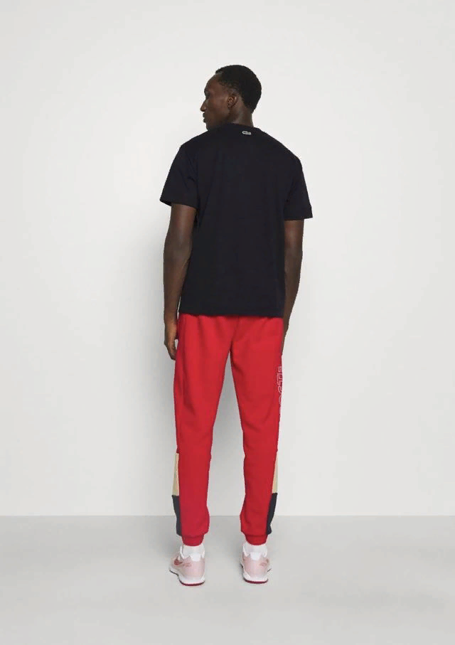 Tee shirt Lacoste