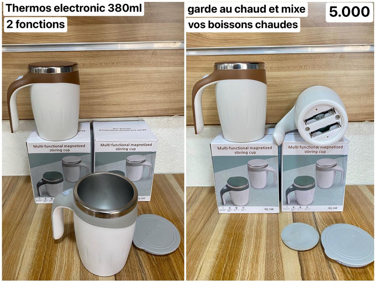 thermos electronic 
