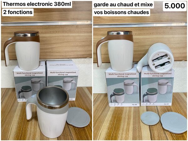 thermos electronic 