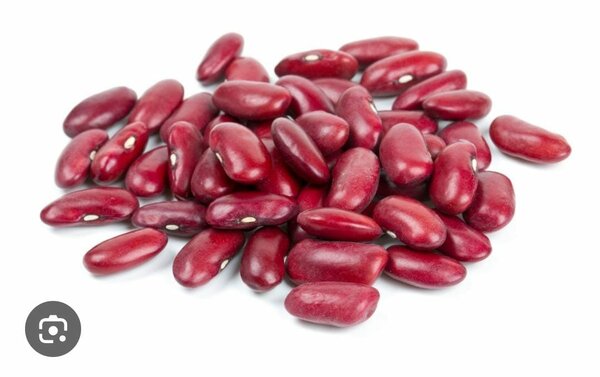 Haricots rouges 500g