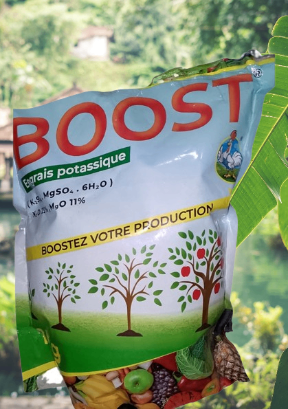 Engrais Potassique BOOST  La Clé dune Récolte Abondante