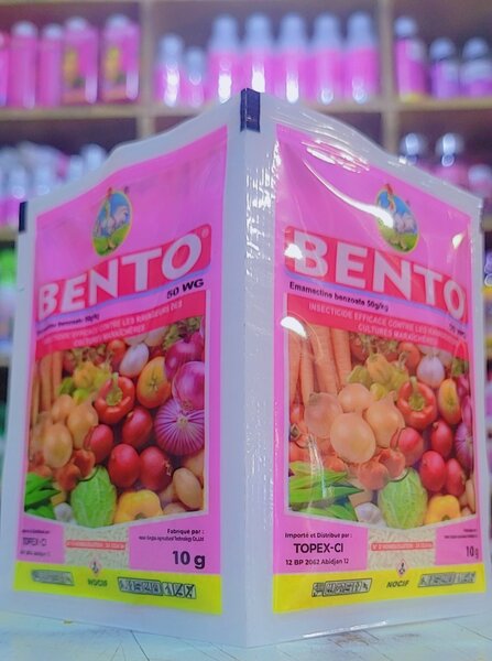 BENTO 50 wg