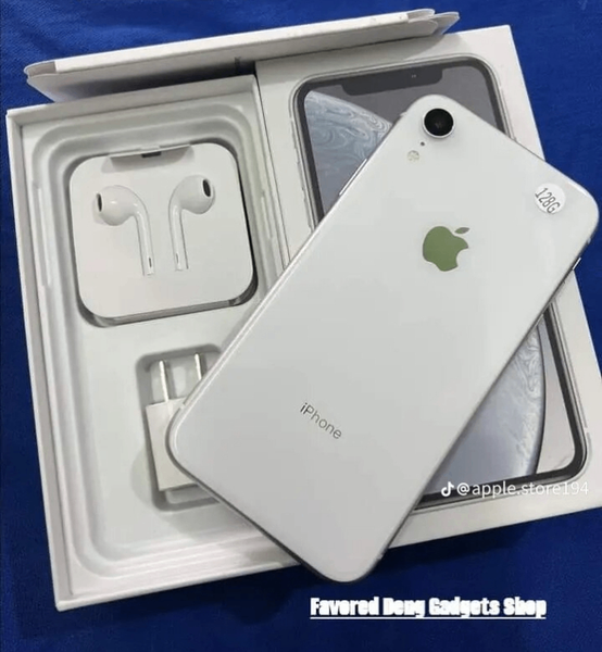 iPhone avec Accessoires Inclus