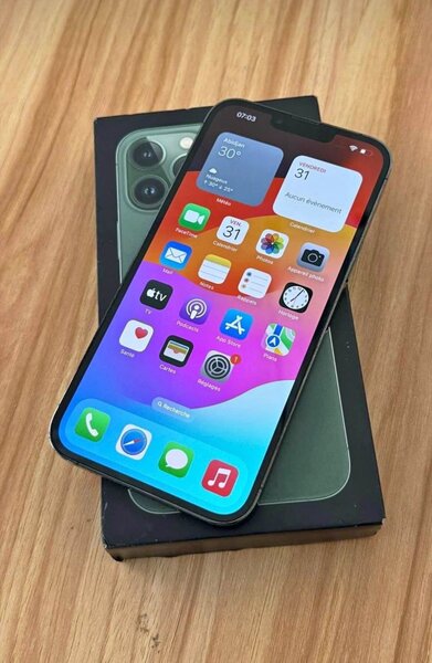 iPhone 13 Pro Max