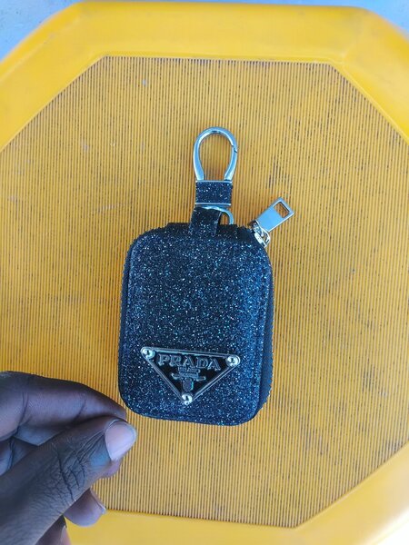 Earpord case