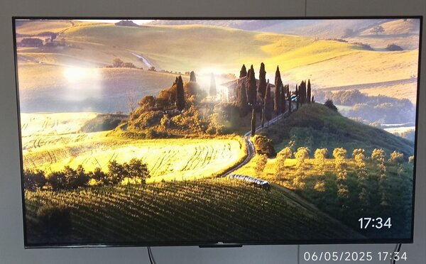 TCL Android 55 puce