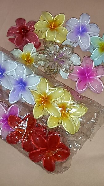Pinces à cheveux hawaïennes
