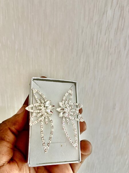 Fashion Earrings