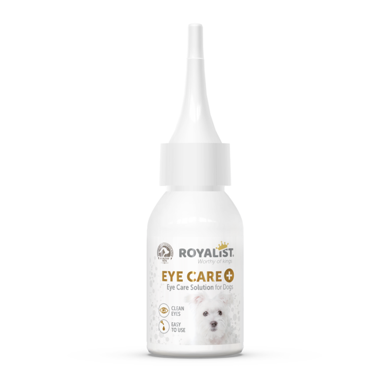 Solution soins oculaires chiens