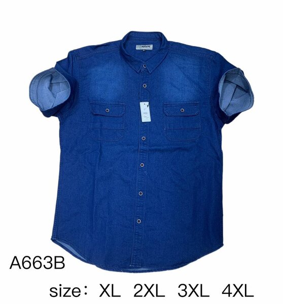 Chemise en jean grande taille