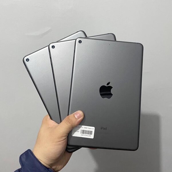 iPad mini 2