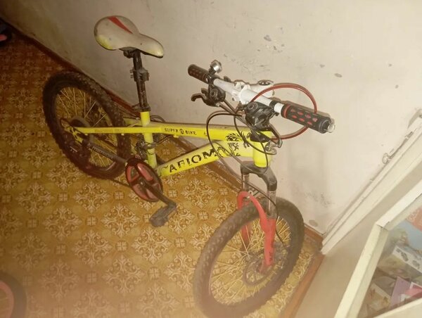 bike with no name