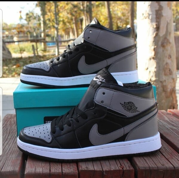 Nike Air Jordan