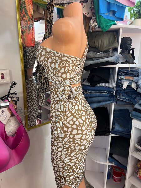 Ladies dress
