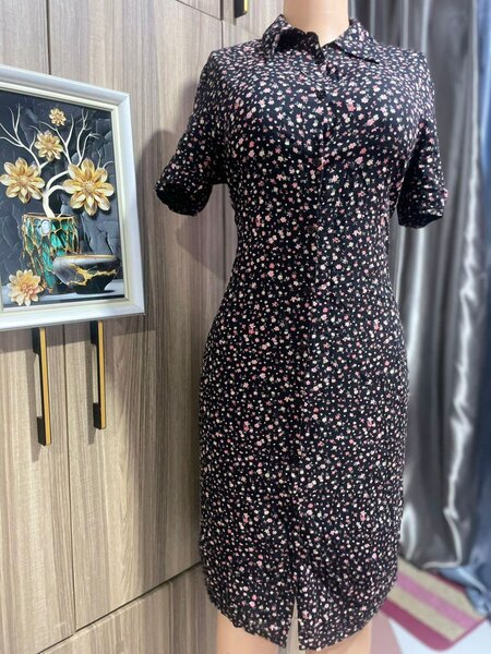 Ladies dress