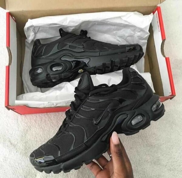 TN disponible