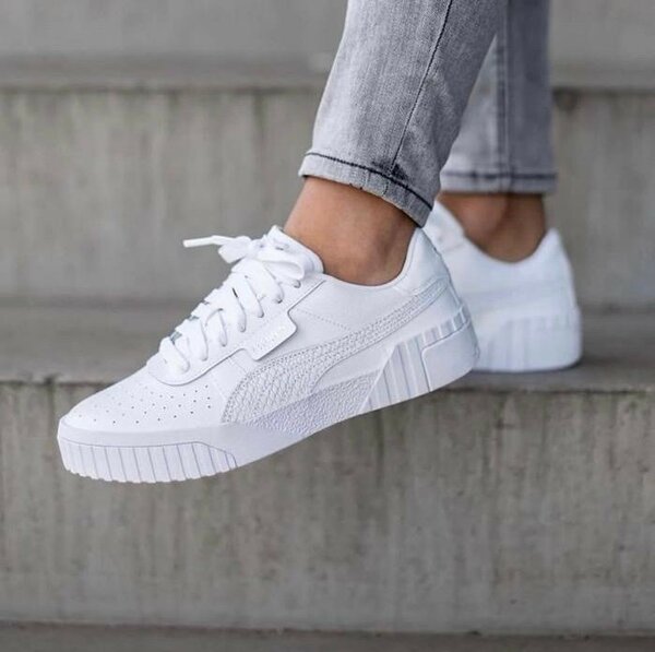 Puma cali