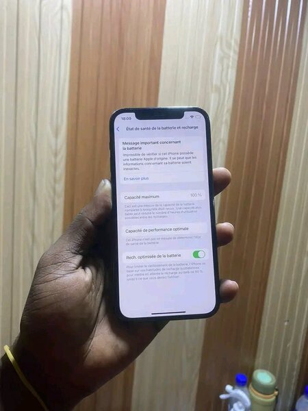 iPhone 12 Pro Max Bleu