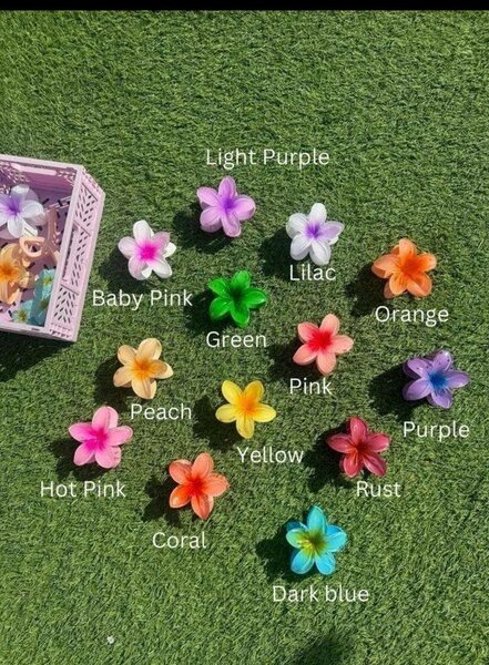 Pinces à cheveux fleurs colorées