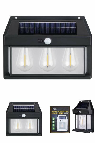 Solar Lamp