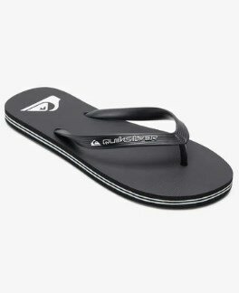 Slides