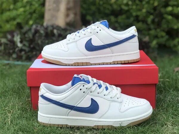 Nike sb dunk
